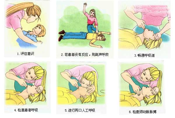 心肺復蘇模擬人