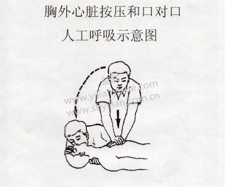 心肺復蘇模擬人